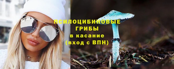spice Армянск