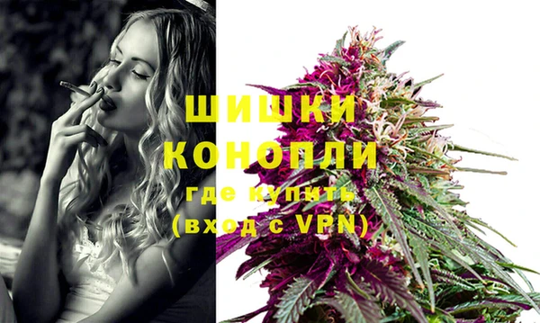 spice Арсеньев