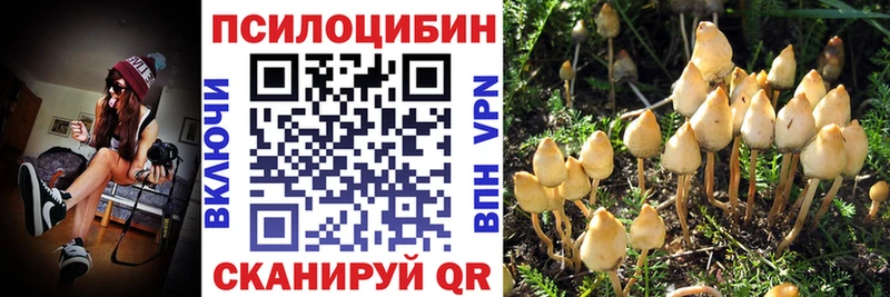 Галлюциногенные грибы ЛСД  купить закладку  Салаир 
